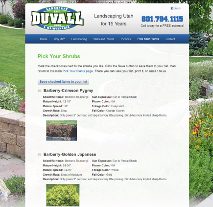 Duvall Landscaping - website by noxad